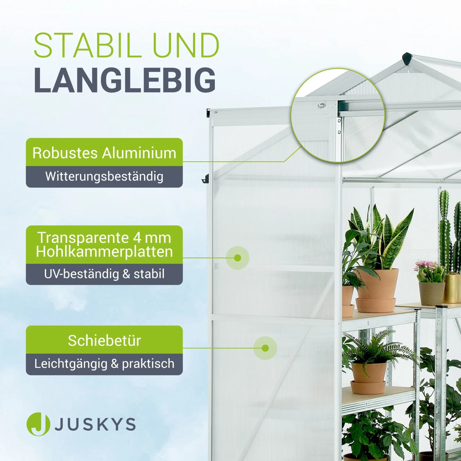 Detailaufnahme Juskys Gewächshaus: Aluminiumrahmen, Hohlkammerplatten, Schiebetür. Stabil und langlebig.