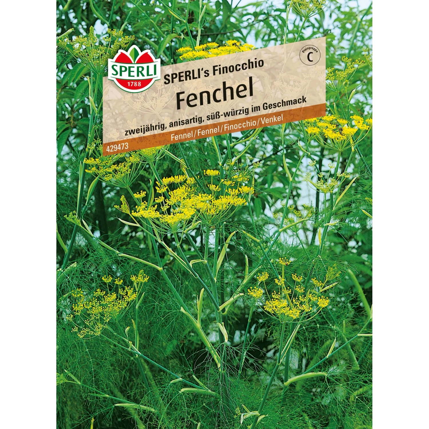 Sperli Fenchel "Sperli´s Finocchio"