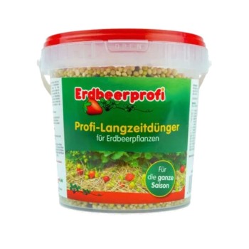 Erdbeerpflanzen kaufen bei OBI