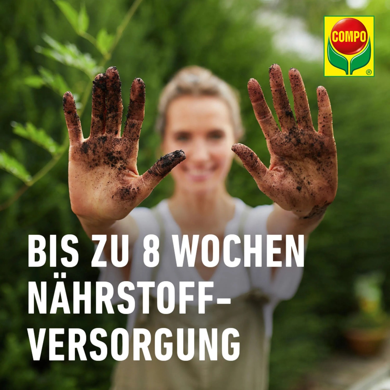 Compo Cactea Kakteen- und Sukkulentenerde 5 l_7