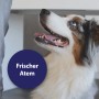 Hund mit offenem Maul, gesunde Zähne, blauer Kreis "Frischer Atem", Canosept Hunde-Zahnpflege.