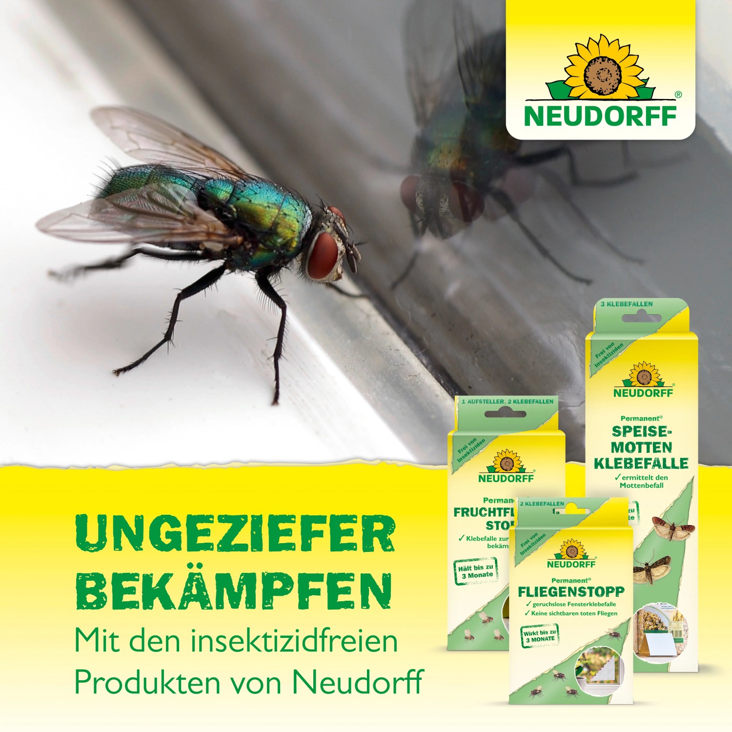 Neudorff Fliegenstopp Klebefalle mit Fliege und Produktverpackung im Hintergrund.