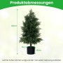 Costway Kunstpflanze Zeder, 80 cm hoch, im schwarzen Topf. Dekorative Zimmerpflanze für Büro und Zuhause.