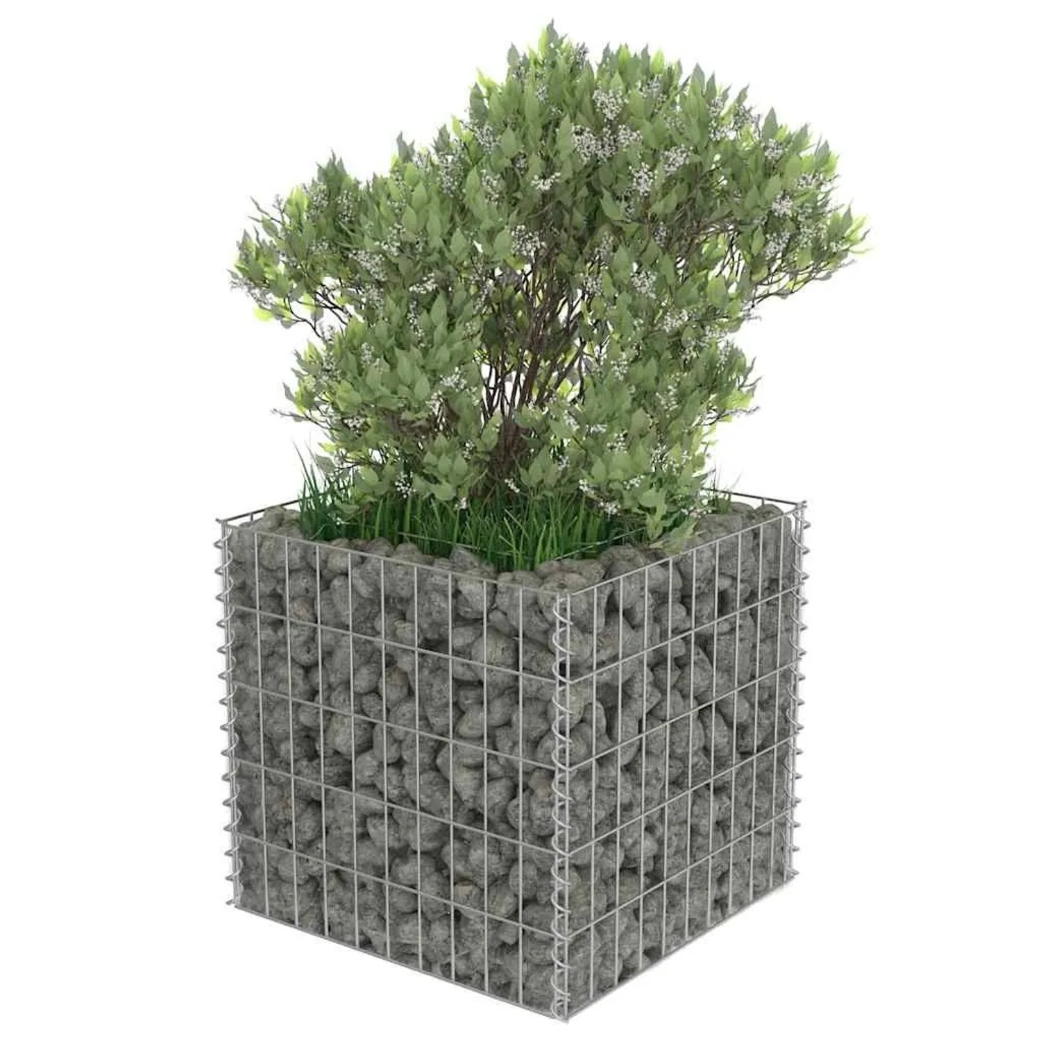 Quadratisches Furnicato Gabionen-Hochbeet aus verzinktem Stahl, gefüllt mit Steinen und bepflanzt.