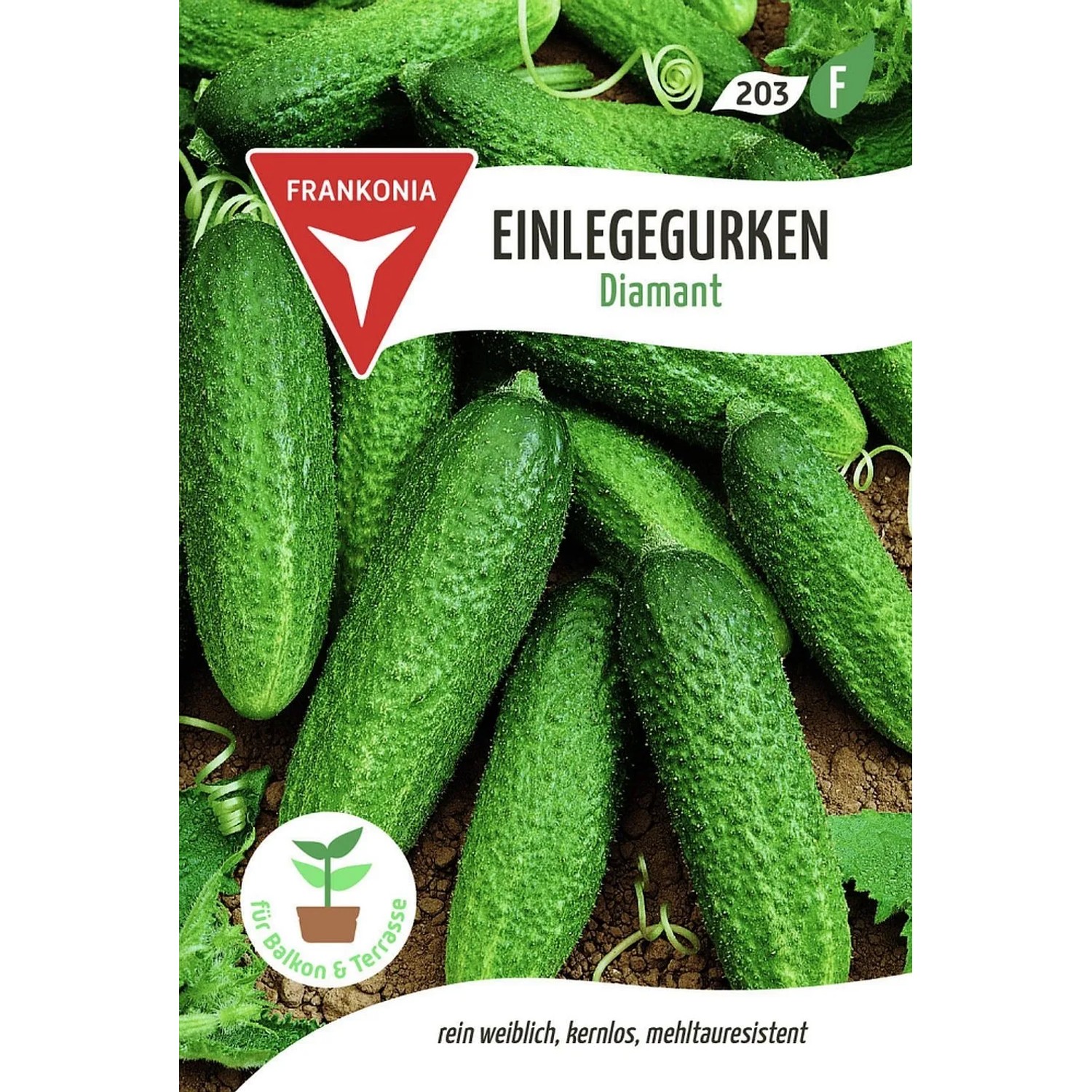 FRANKONIA Einlegegurke Diamant F1