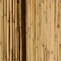 Natürlicher Bambus Sichtschutzzaun. Vertikale, hellbraune Bambusrohre bilden einen robusten Zaun für Garten & Balkon.