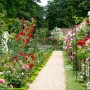 Schwarzer Relaxdays Rosenbogen aus Eisen, wetterfest und pulverbeschichtet, im blühenden Garten.