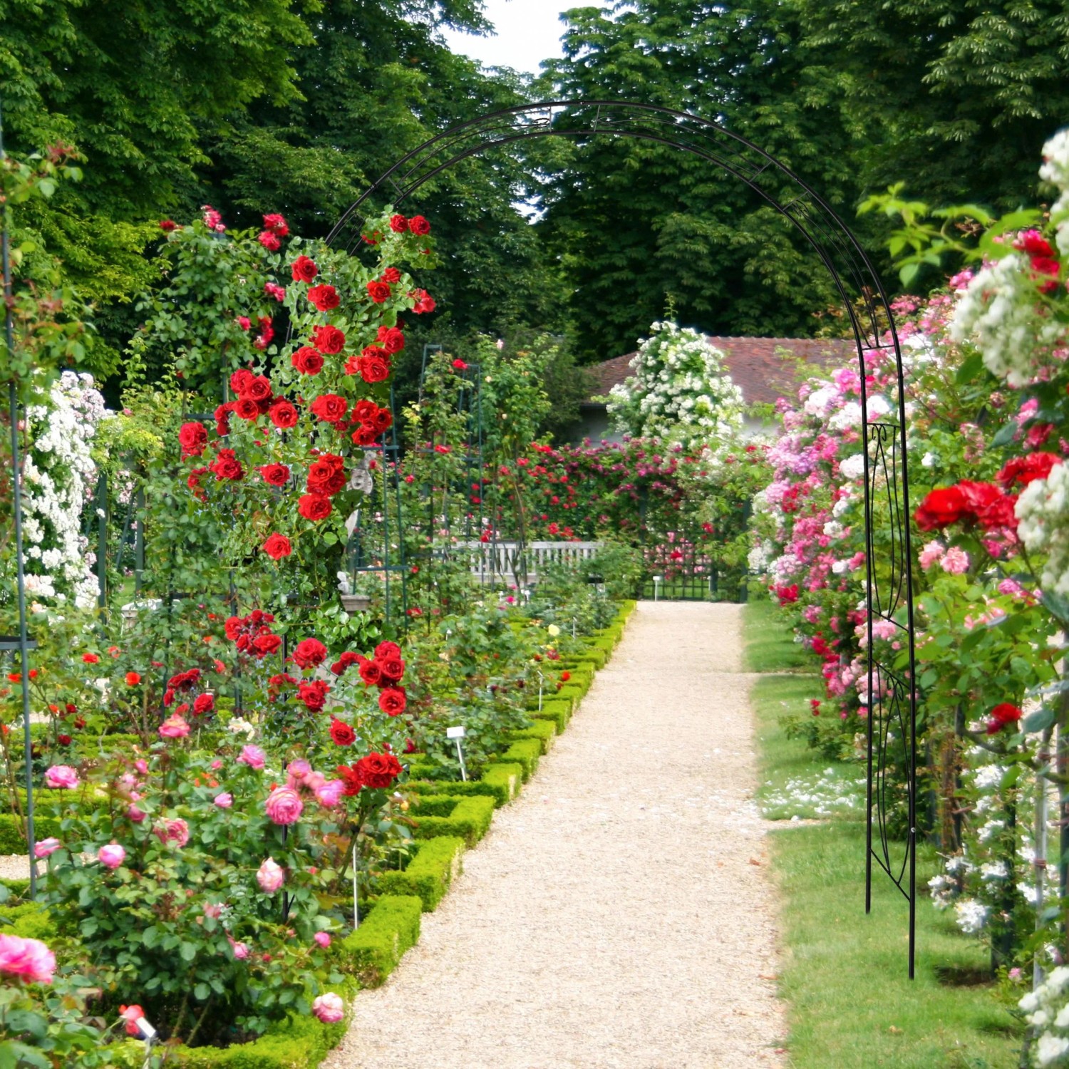 Schwarzer Relaxdays Rosenbogen aus Eisen, wetterfest und pulverbeschichtet, im blühenden Garten.