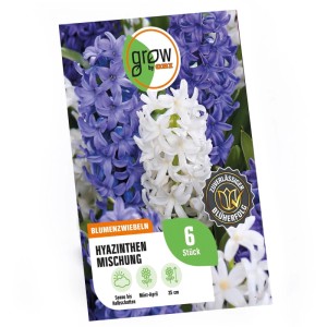 GROW by OBI Hyazinthen Mischung 6 Stück Hyacinthus Mix