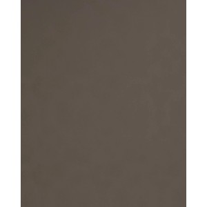 WALLFACE Wandpaneel in Braun mit Lederoptik, matt, 260x100cm. Dekorpaneel für Innenräume.