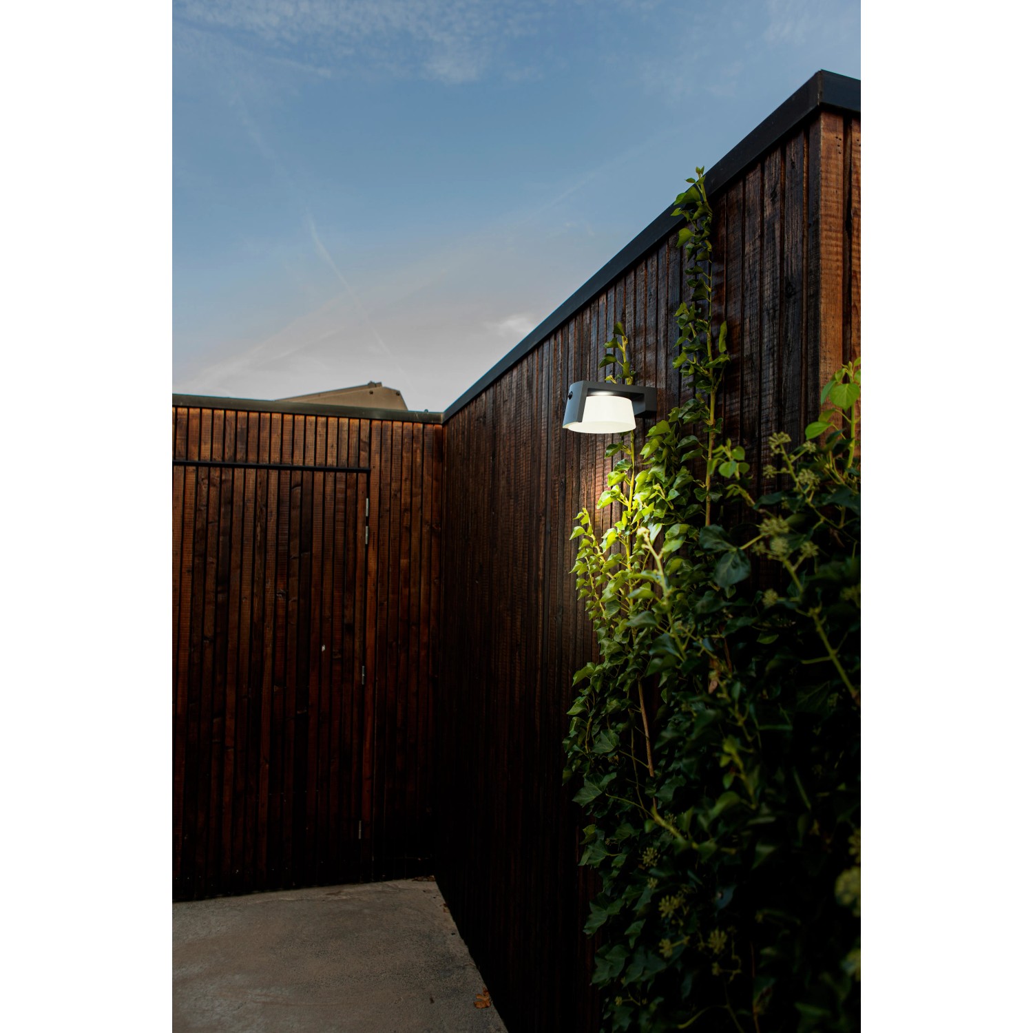 Lutec Solar-LED-Wandleuchte Moon, anthrazitfarben, an Holzwand mit Pflanzen.