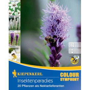 Kiepenkerl Blumenzwiebelmischung Insektenparadies mit Gladiole, Liatris, Allium und Dahlie.
