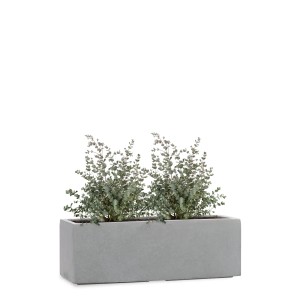 Rechteckiger, frostbeständiger Pflanzwerk Pflanzkübel Tub Premium, 50 cm, grau, mit Bepflanzung.