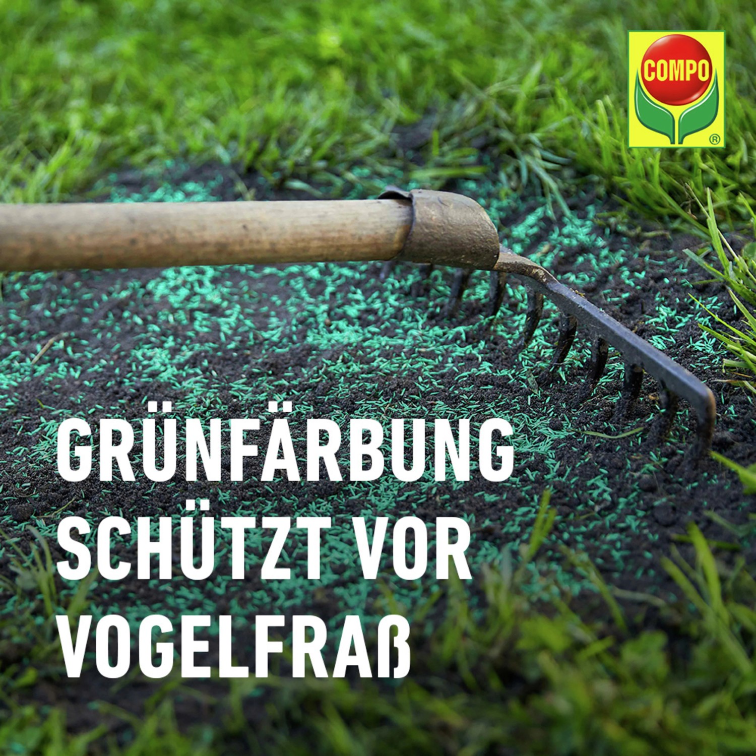 Compo Saat® Trocken-Rasen 2 kg für 80 m²_9
