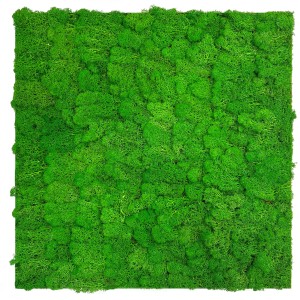 Jangal Wandpaneel Modular Wall Rich Green Moos, 52x52 cm, für natürliche Wanddekoration.
