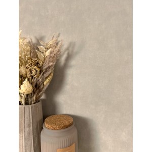 Newroom Vliestapete Paraiso Uni Taupe Unifarbe Modern FSC®