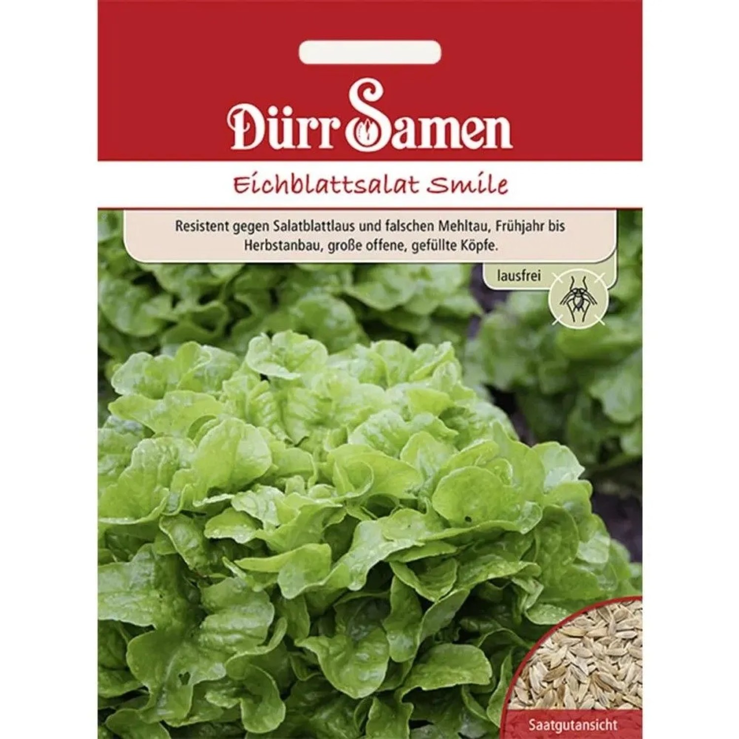 Dürr Samen Eichblattsalat Smile Saatgut