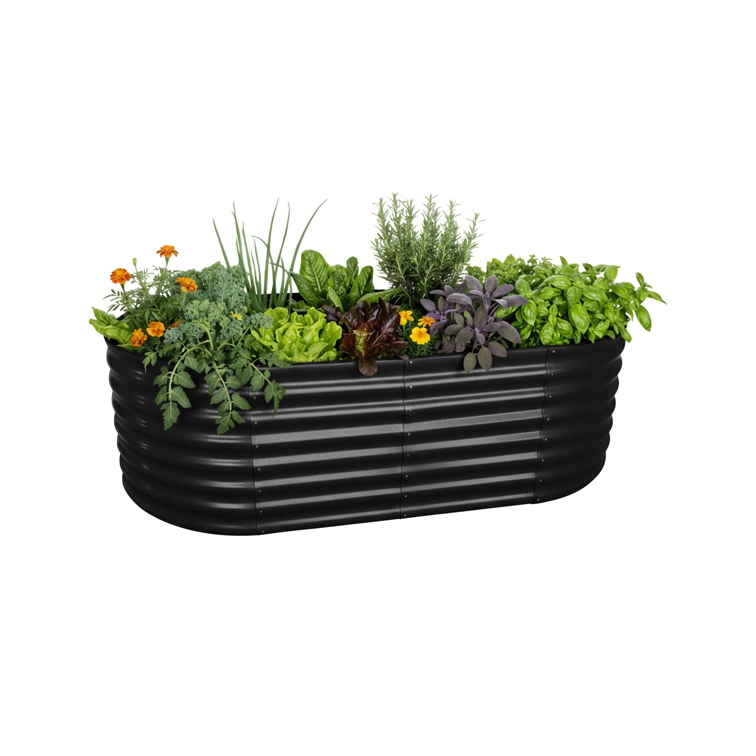 Relaxdays Hochbeet Halbrund Metall Schwarz Bodenfrei 60 cm x 200 cm x 100 cm 17 kg