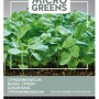 Microgreens Zitronenbasilikum Saatgut ca. 1 g Frischer Zitrusgeschmack