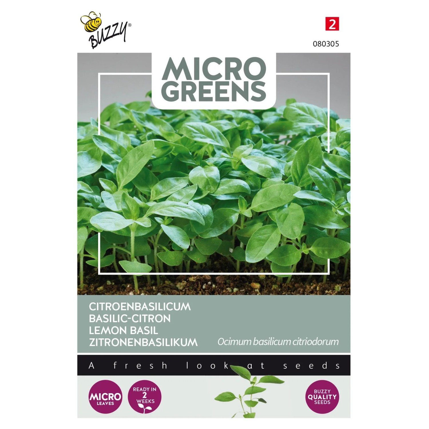 Microgreens Zitronenbasilikum Saatgut ca. 1 g Frischer Zitrusgeschmack