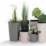 Verschiedene Siena Garden Übertöpfe Eco Lens in Weiß, Grau und Grün mit Pflanzen.