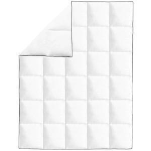 vidaXL Winter-Daunendecke 2 Stk 150x200 cm 132888