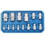 14tlg CCLIFE Torx Nuss Set E4-E24 in blauem Kasten. Chrom-Vanadiumstahl Steckschlüsseleinsätze für 1/4, 3/8, 1/2 Zoll Antrieb.