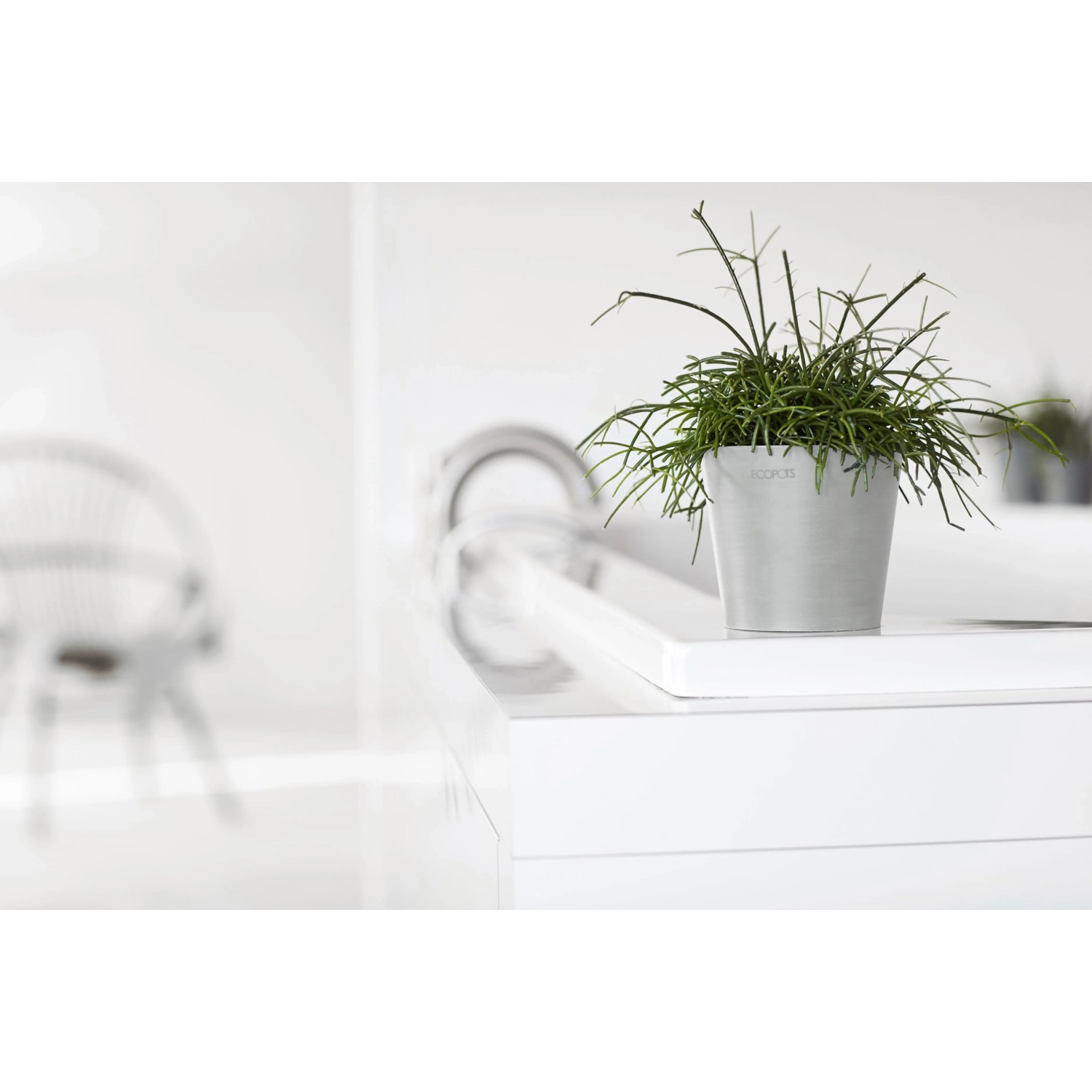 Ecopots Amsterdam Mini Pflanztopf, weißgrau, 10,5 cm, mit grüner Pflanze, für Innenbereich.