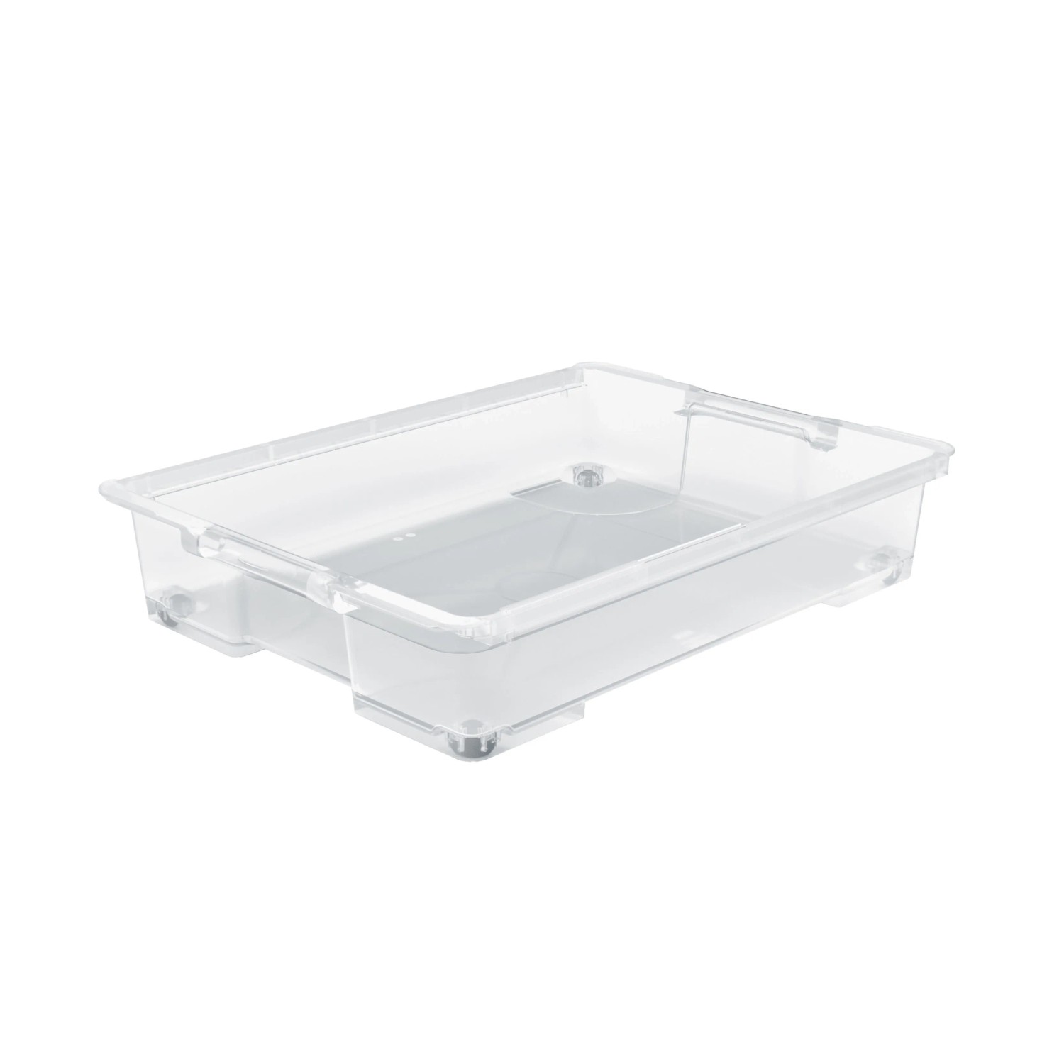 Rotho Unterbettbox Evo Easy 50, Transparent