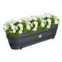 Anthrazitfarbener Elho Balkonkasten Vibia Campana 70 cm mit weißen Blumen.