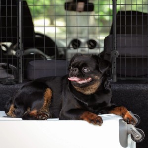 Schwarzes Relaxdays Hundegitter Auto mit Hund im Kofferraum, verstellbar für sicheren Transport.