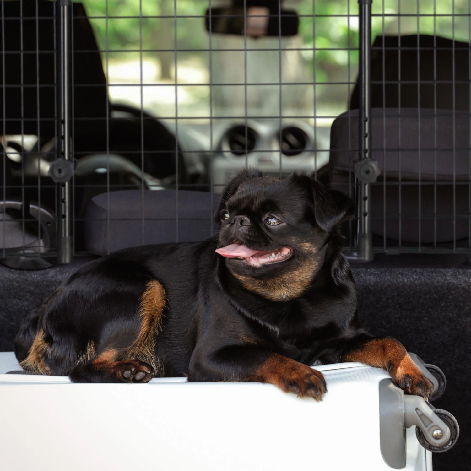Schwarzes Relaxdays Hundegitter Auto mit Hund im Kofferraum, verstellbar für sicheren Transport.