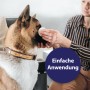 Anwendung der Canosept Augenpflege-Pads zur Reinigung der Augenpartie eines Hundes.