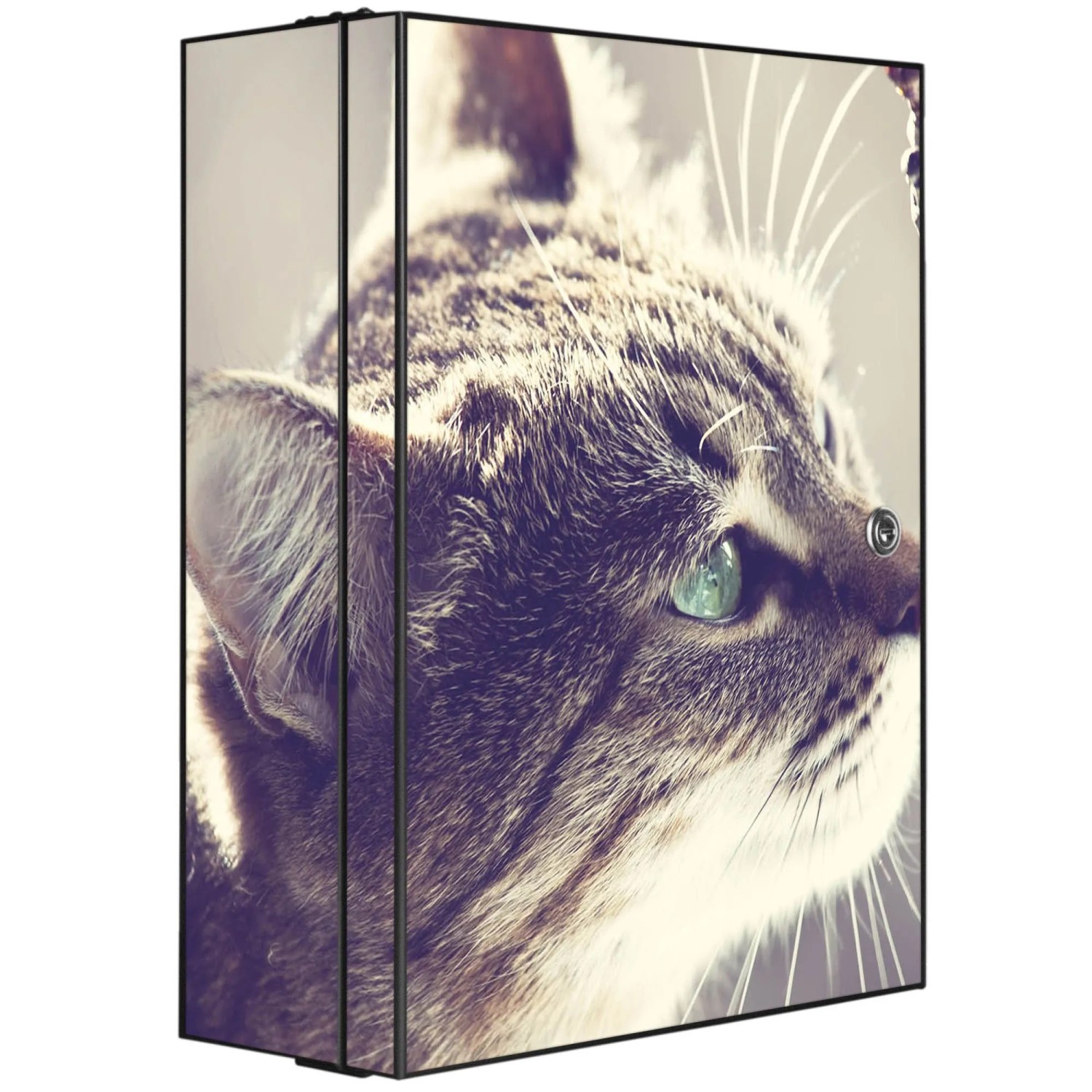 Banjado XXL Medizinschrank Abschliessbar 35x46x15cm Arzneischrank Anthrazit günstig online kaufen