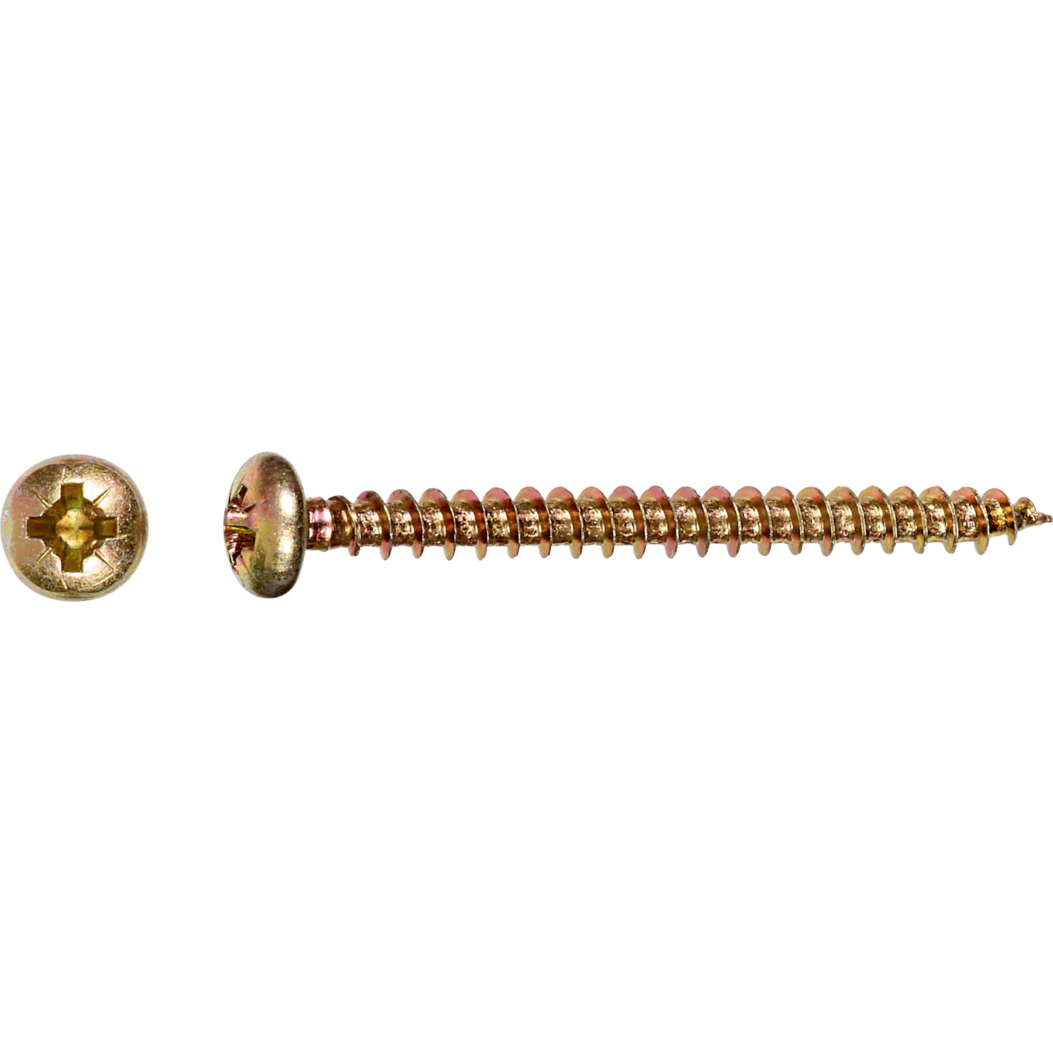 Halbrundkopf Spanplattenschraube PZ-Antrieb Ø 5 mm x 50 mm 10 Stück