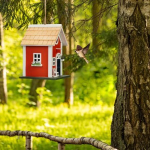 Relaxdays Vogelhaus Landhausstil Pappelholz Kiefernholz Rot Weiß Grün Wetterfest 25 cm x 18,5 cm x 18,5 cm 0,7 kg