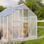 Vitavia Gewächshaus Comet 6200 mit Alu-Rahmen, Hohlkammerplatten und geöffneter Schiebetür im Garten.