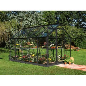 Schwarzes Halls Gewächshaus Popular 106 mit Pflanzen im Garten.