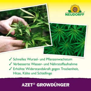 Neudorff Azet Grow-Dünger 1l: Detailaufnahme von Cannabispflanzen, gesundes Wachstum.