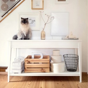 Weiße Könighaus Infrarotheizung P-Serie 300W an Wand über weißer Kommode mit Katze.