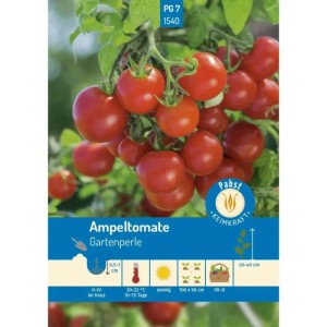 Pabst Keimkraft Ampeltomate Gartenperle Saatgut. Viele kleine, rote Kirschtomaten an einer Pflanze.