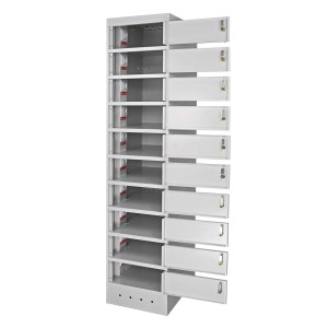 PROREGAL Notebook-Schrank, 10 Fächer, lichtgrau, ideal für Büro und Homeoffice.