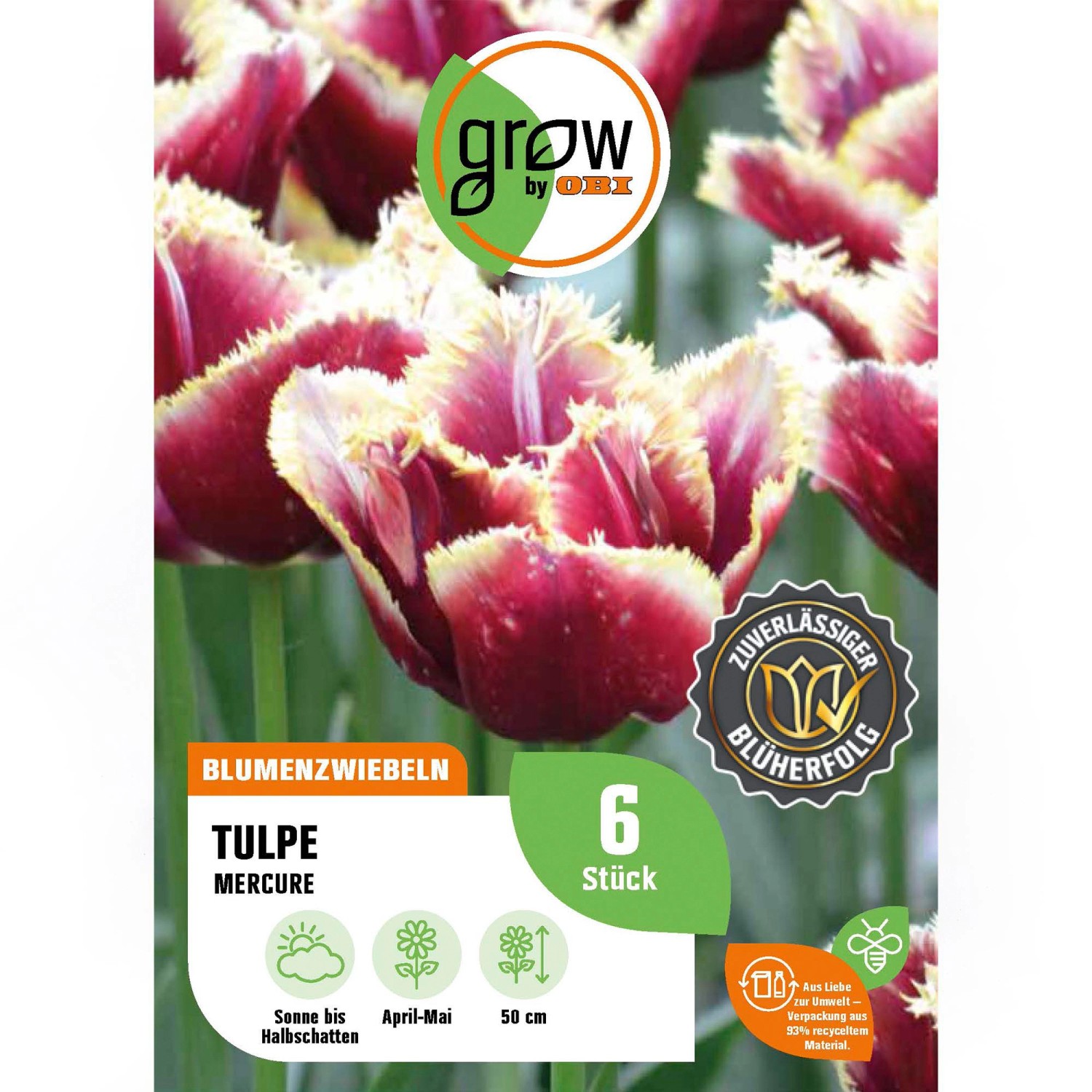 GROW by OBI Tulipa fringed Mercure Rot-Gelb 6 Stück Tulipa fringed Mercure günstig online kaufen