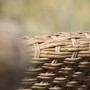 Detailaufnahme: Geflecht des Acamp Atacama Armsessels aus Teakholz. Gartenstuhl mit hochwertiger Verarbeitung.