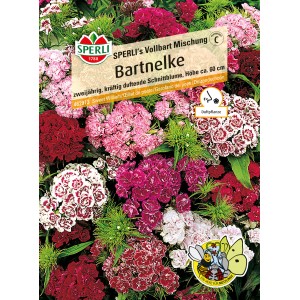 Samenpackung Sperli Bartnelke Vollbart Mischung mit mehrfarbigen, dicht gefüllten Blüten.