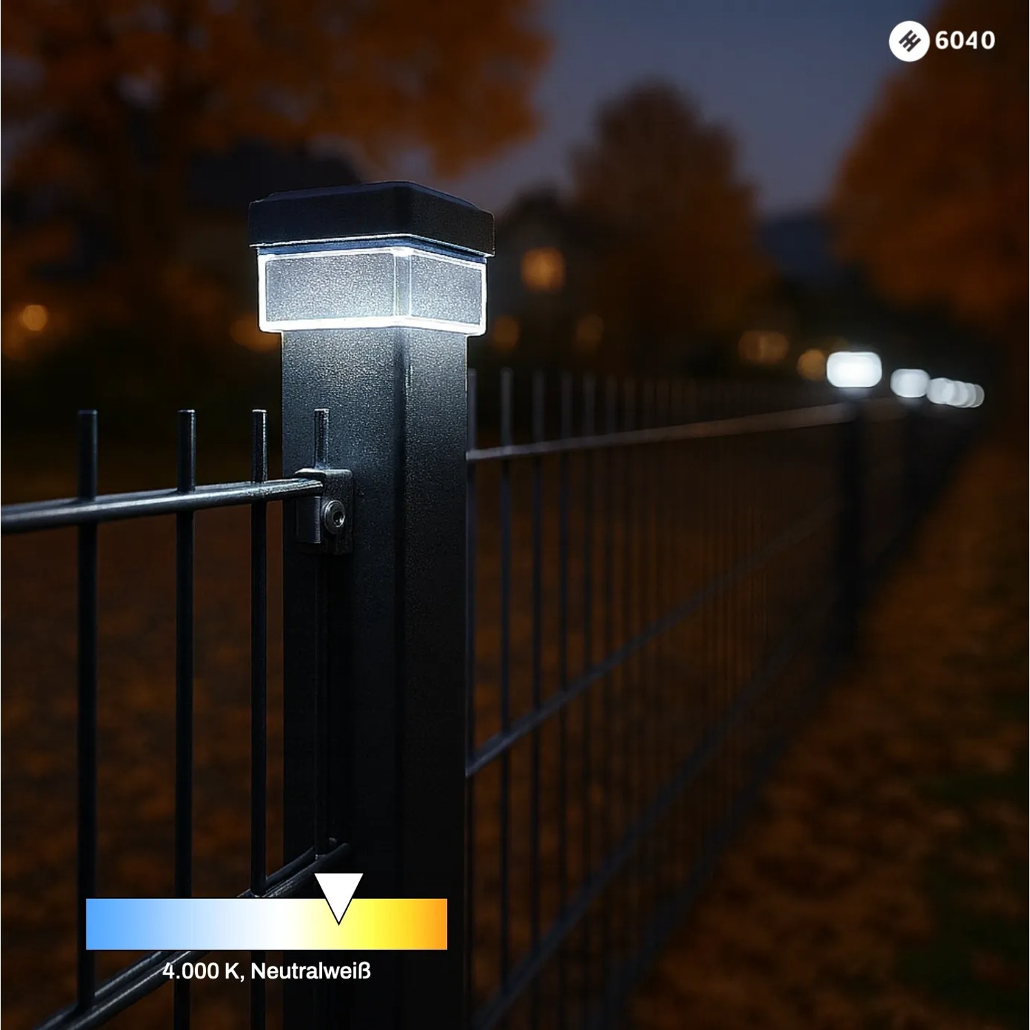Solar Zaunleuchte LED auf 60x40 mm Pfosten, neutralweißes Licht. Mehrere Leuchten beleuchten den Stabmattenzaun bei Nacht.