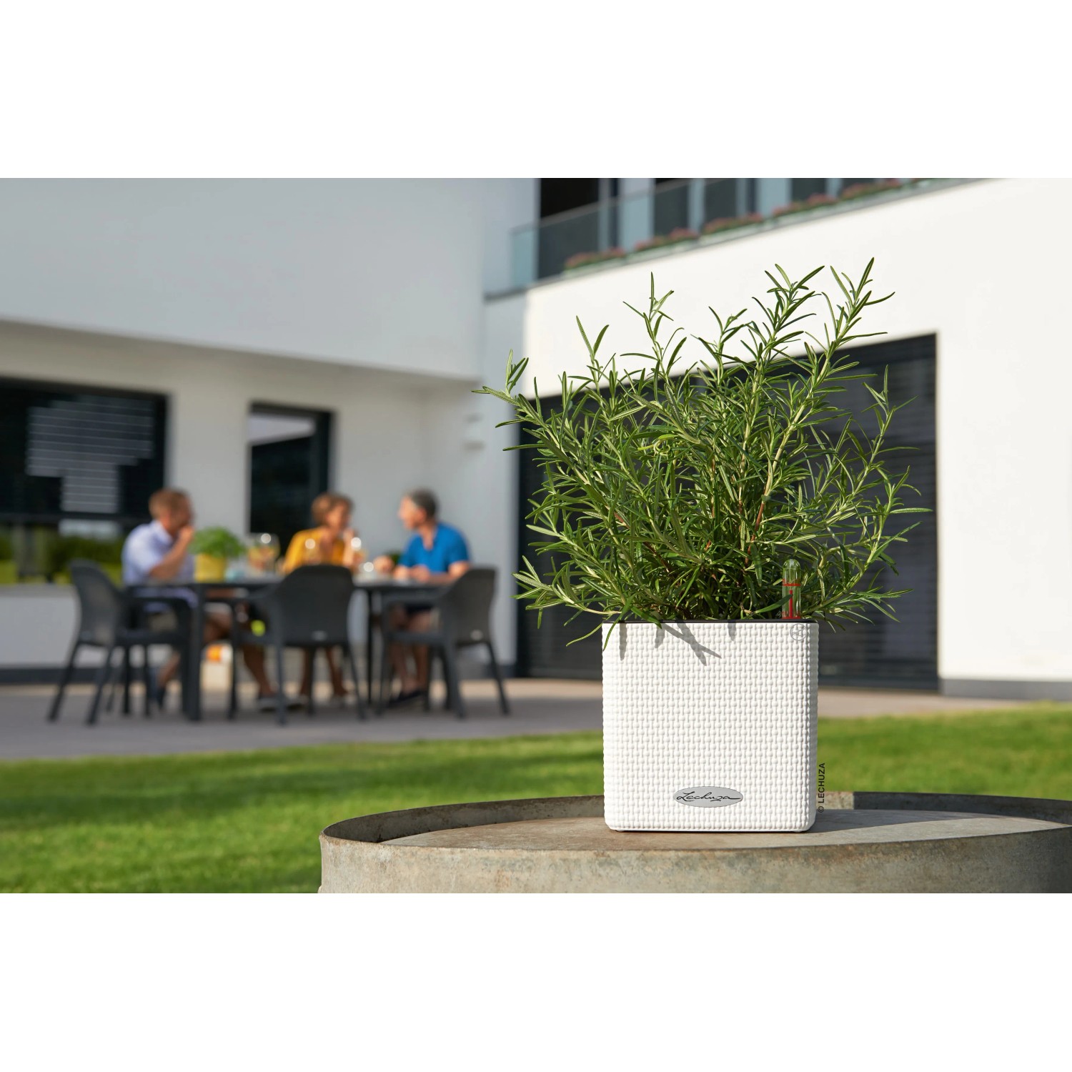 Lechuza Krutertopf Cube Color 16 Wei 17 cm x 17 cm kaufen bei OBI