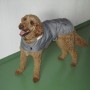 Grauer Heim Hundemantel Banbury, Größe S, mit Kragen am braunen Hund.
