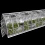 Klasika Gewächshaus 20m² mit Polycarbonatabdeckung und Dachfenstern.