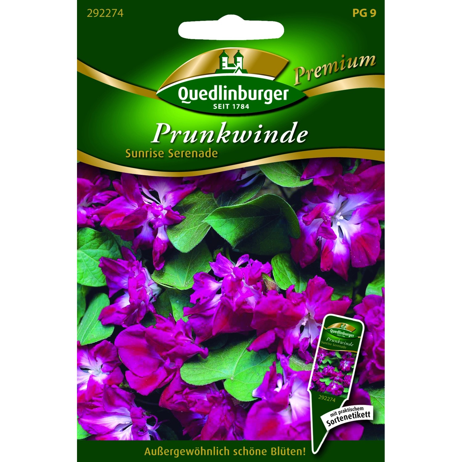 Quedlinburger Prunk Winde ''Sunrise Serenade'' günstig online kaufen